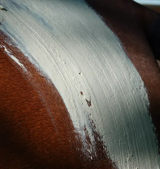 Argile blanche appliquée en couche épaisse sur le dos d'un cheval brun, illustrant un soin thérapeutique ou un traitement de bien-être équin.